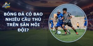 Bóng Đá Có Bao Nhiêu Cầu Thủ