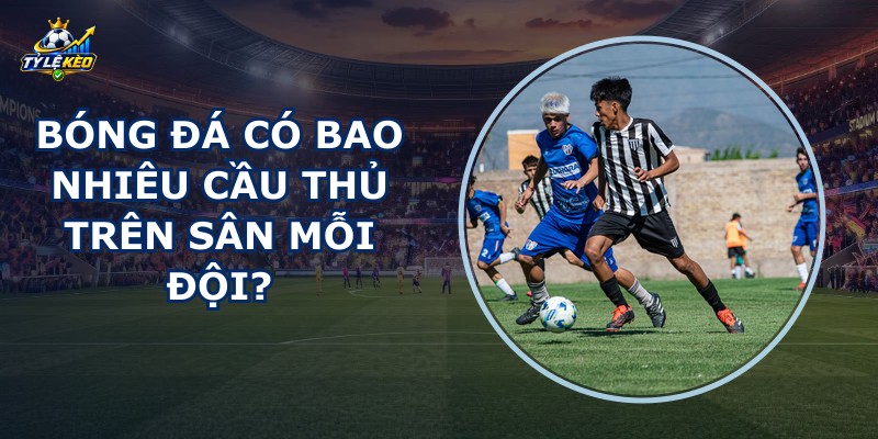 Bóng Đá Có Bao Nhiêu Cầu Thủ