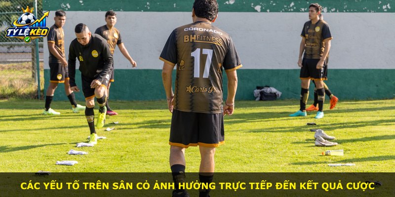 Các yếu tố trên sân cỏ ảnh hưởng trực tiếp đến kết quả cược