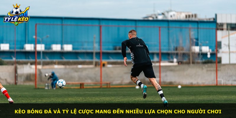 Kèo bóng đá và tỷ lệ cược mang đến nhiều lựa chọn cho người chơi