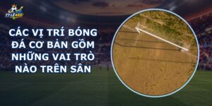 Các Vị Trí Bóng Đá Cơ Bản