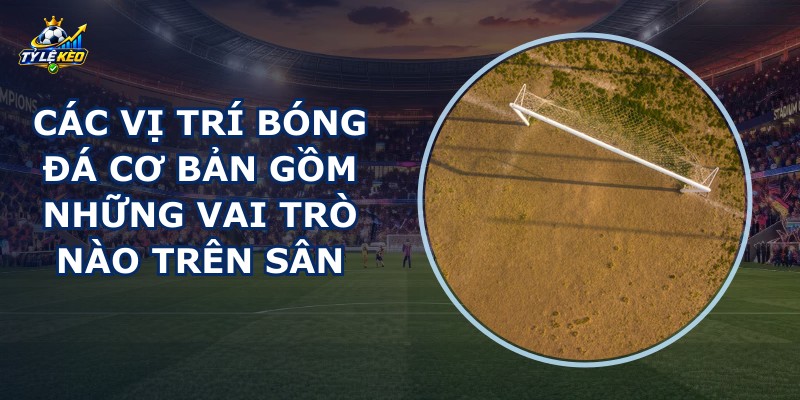 Các Vị Trí Bóng Đá Cơ Bản