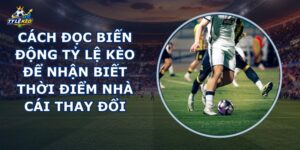 Cách Đọc Biến Động Tỷ Lệ Kèo