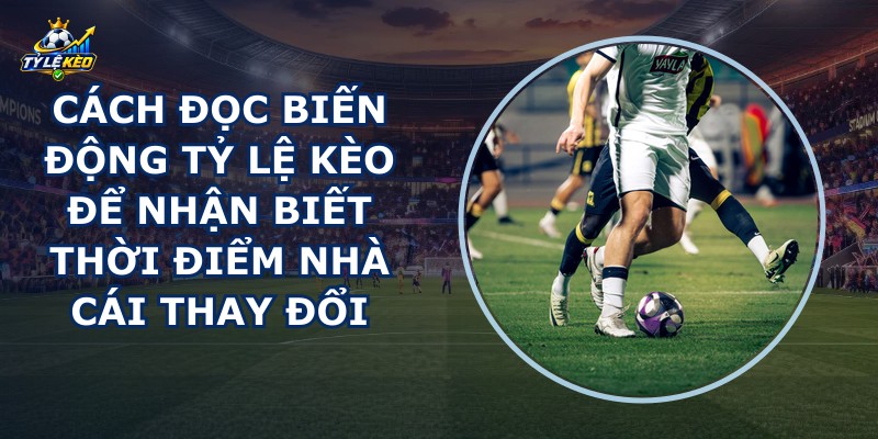 Cách Đọc Biến Động Tỷ Lệ Kèo