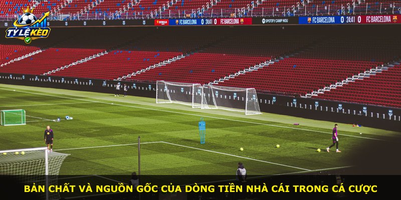 Bản chất và nguồn gốc của dòng tiền nhà cái trong cá cược