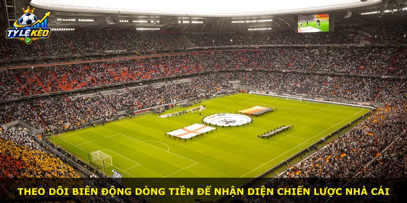 Theo dõi biến động dòng tiền để nhận diện chiến lược nhà cái