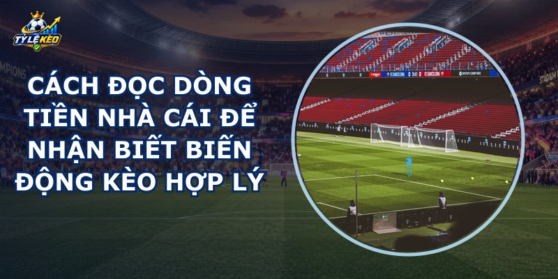Cách Đọc Dòng Tiền Nhà Cái