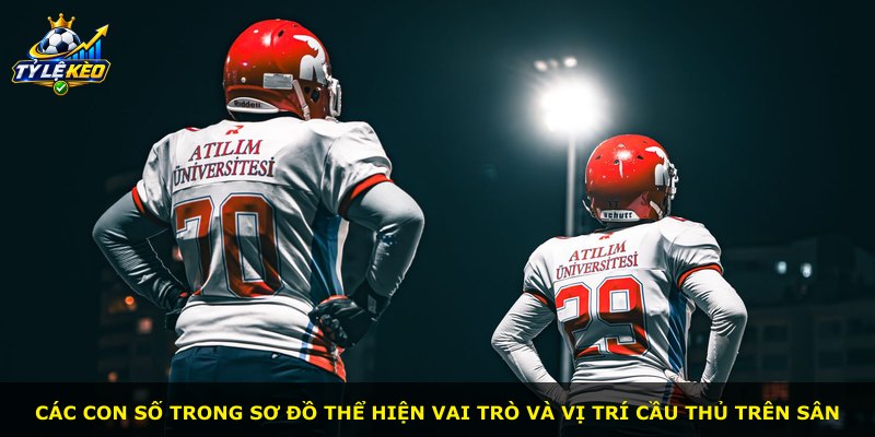Các con số trong sơ đồ thể hiện vai trò và vị trí cầu thủ trên sân