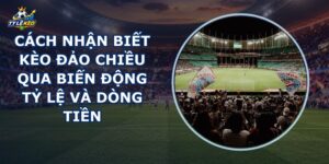 Cách Nhận Biết Kèo Đảo Chiều