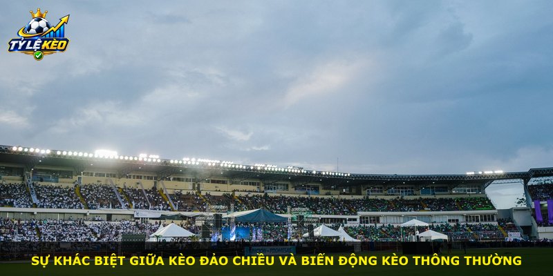 Sự khác biệt giữa kèo đảo chiều và biến động kèo thông thường