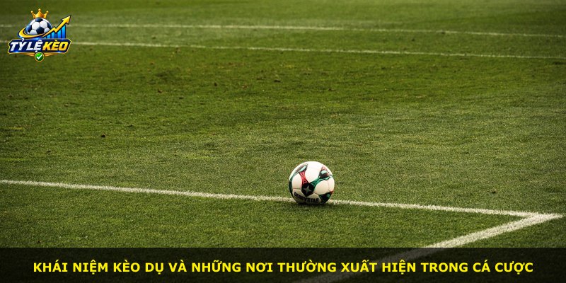 Khái niệm kèo dụ và những nơi thường xuất hiện trong cá cược