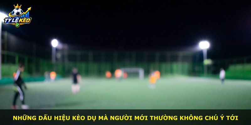 Những dấu hiệu kèo dụ mà người mới thường không chú ý tới