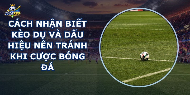 Cách Nhận Biết Kèo Dụ