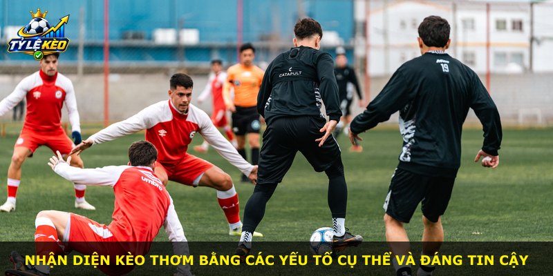 Nhận diện kèo thơm bằng các yếu tố cụ thể và đáng tin cậy