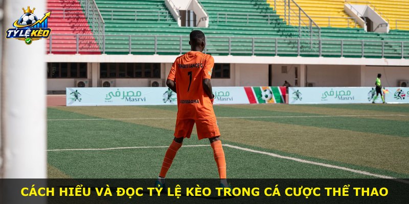 Cách hiểu và đọc tỷ lệ kèo trong cá cược thể thao