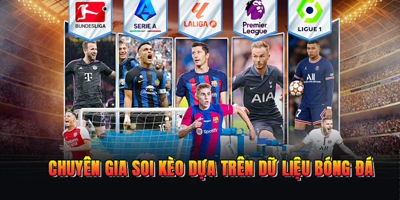Chuyên gia soi kèo dựa trên dữ liệu bóng đá