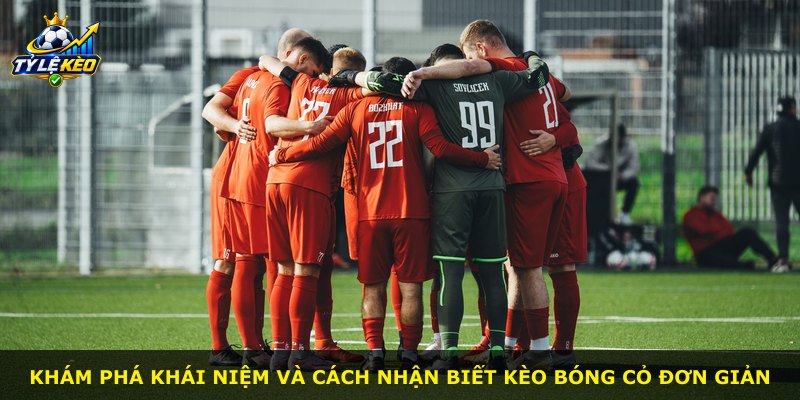 Khám phá khái niệm và cách nhận biết kèo bóng cỏ đơn giản