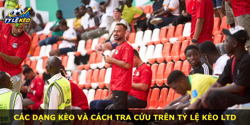 Các dạng kèo và cách tra cứu trên Tỷ Lệ Kèo LTD