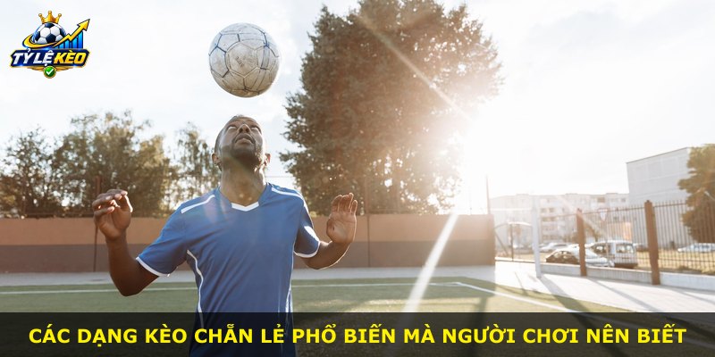 Các dạng kèo chẵn lẻ phổ biến mà người chơi nên biết