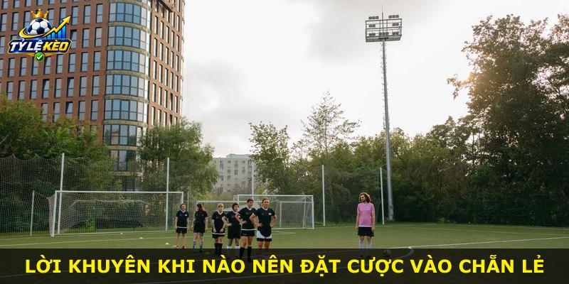 Lời khuyên khi nào nên đặt cược vào chẵn lẻ