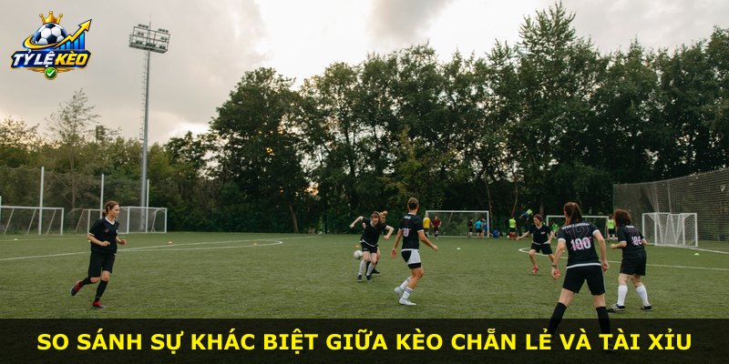 So sánh sự khác biệt giữa kèo chẵn lẻ và tài xỉu