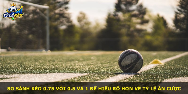 So sánh kèo 0.75 với 0.5 và 1 để hiểu rõ hơn về tỷ lệ ăn cược