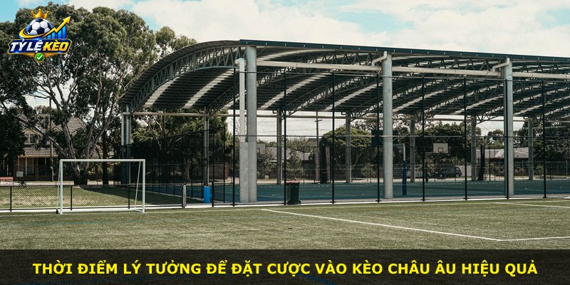 Thời điểm lý tưởng để đặt cược vào kèo Châu Âu hiệu quả