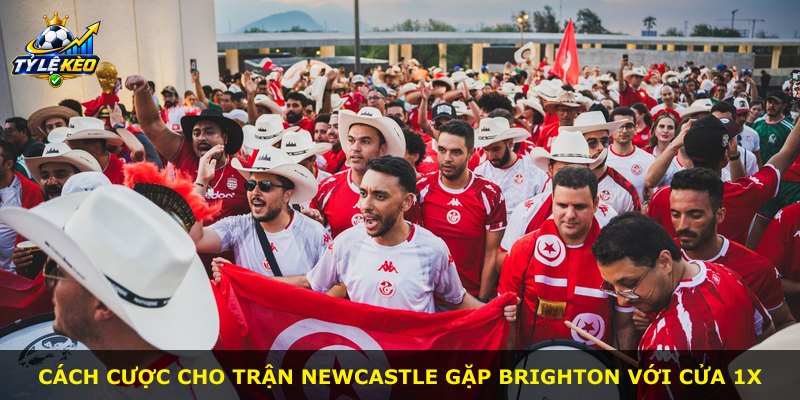 Cách cược cho trận Newcastle gặp Brighton với cửa 1X