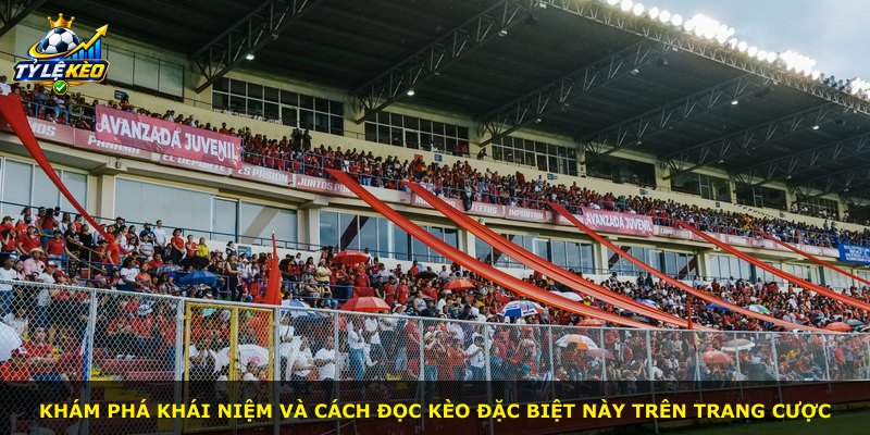 Khám phá khái niệm và cách đọc kèo đặc biệt này trên trang cược