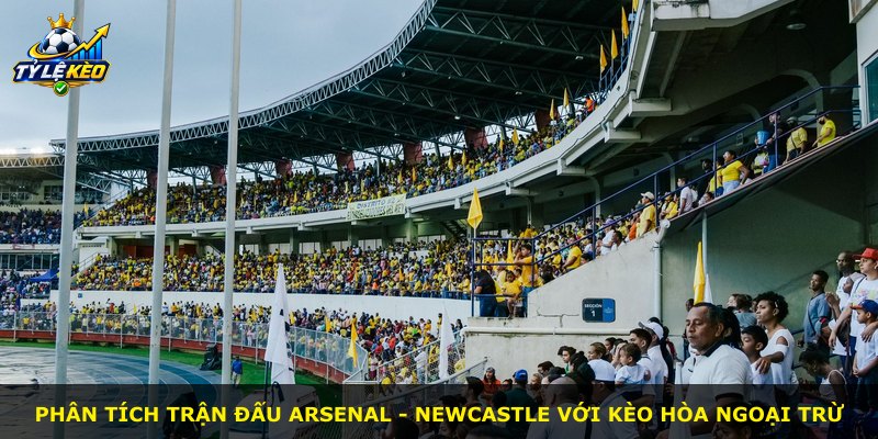 Phân tích trận đấu Arsenal - Newcastle với kèo Hòa Ngoại Trừ