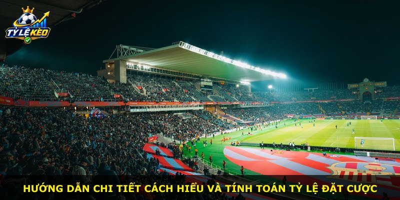 Hướng dẫn chi tiết cách hiểu và tính toán tỷ lệ đặt cược