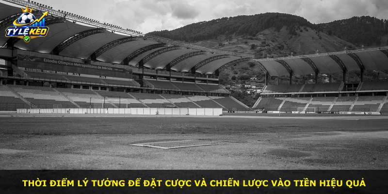 Thời điểm lý tưởng để đặt cược và chiến lược vào tiền hiệu quả
