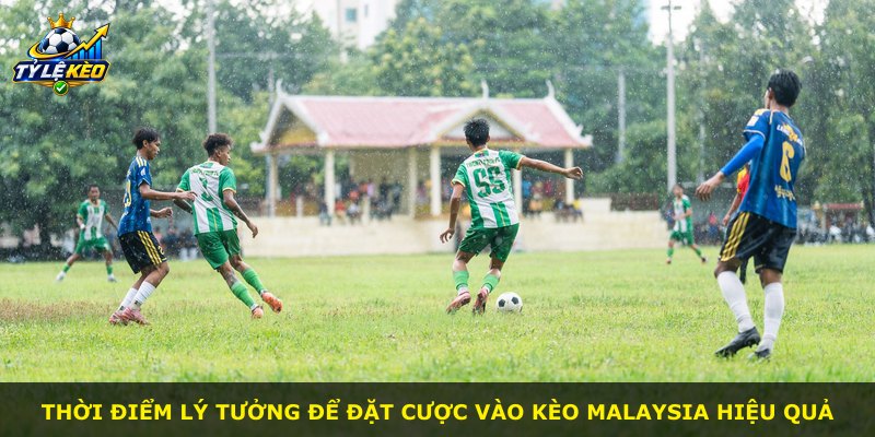 Thời điểm lý tưởng để đặt cược vào kèo Malaysia hiệu quả