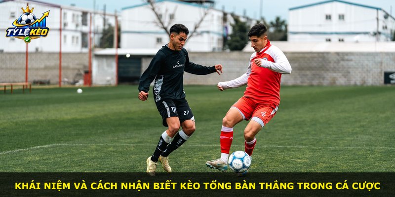 Khái niệm và cách nhận biết kèo tổng bàn thắng trong cá cược