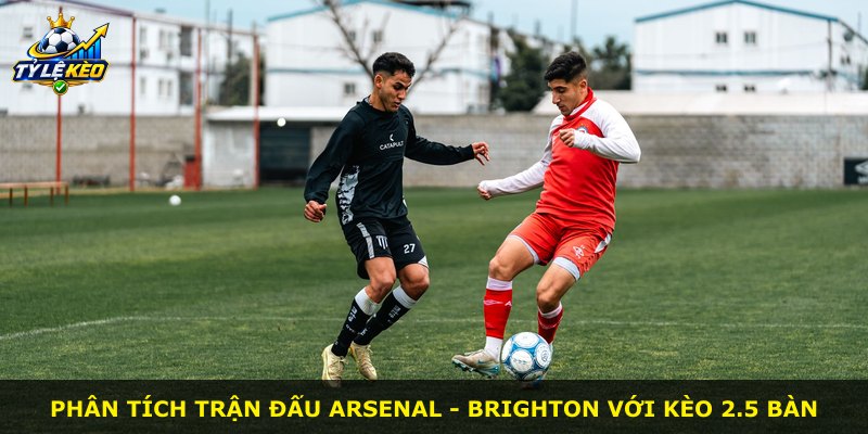 Phân tích trận đấu Arsenal - Brighton với kèo 2.5 bàn