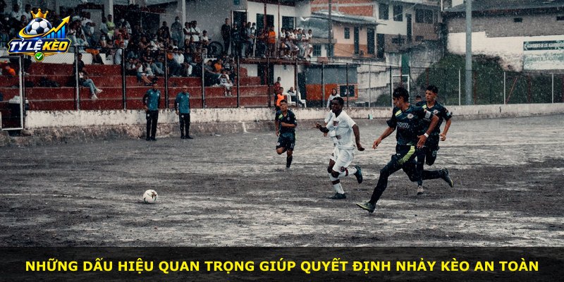 Những dấu hiệu quan trọng giúp quyết định nhảy kèo an toàn