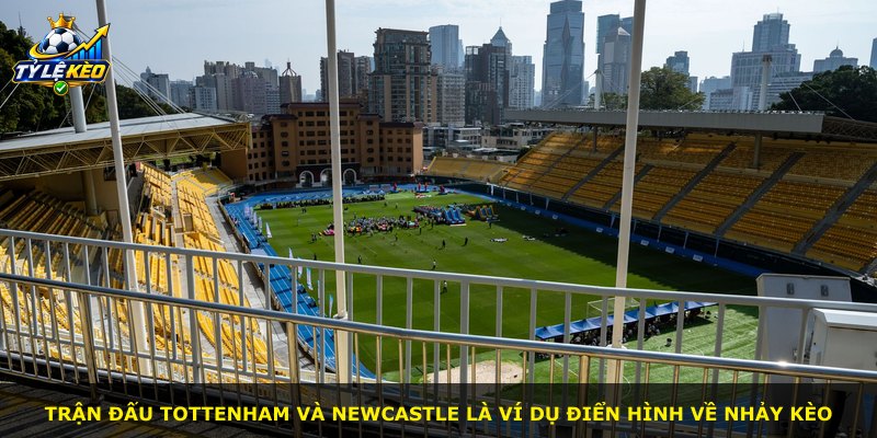 Trận đấu Tottenham và Newcastle là ví dụ điển hình về nhảy kèo