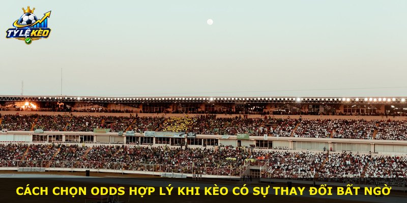 Cách chọn odds hợp lý khi kèo có sự thay đổi bất ngờ