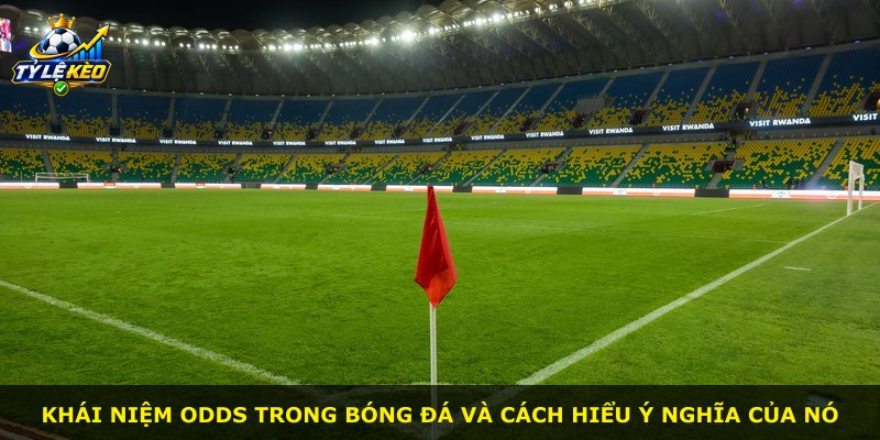 Khái niệm odds trong bóng đá và cách hiểu ý nghĩa của nó