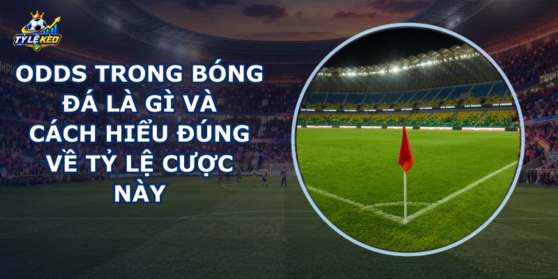 Odds Trong Bóng Đá Là Gì