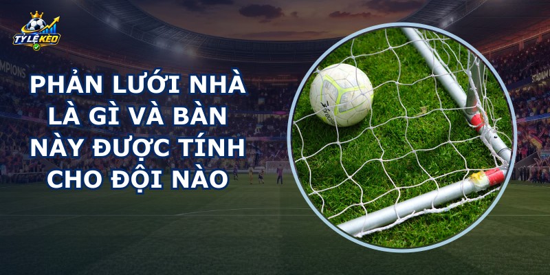 Phản Lưới Nhà Là Gì