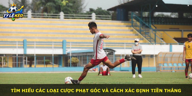 Tìm hiểu các loại cược phạt góc và cách xác định tiền thắng