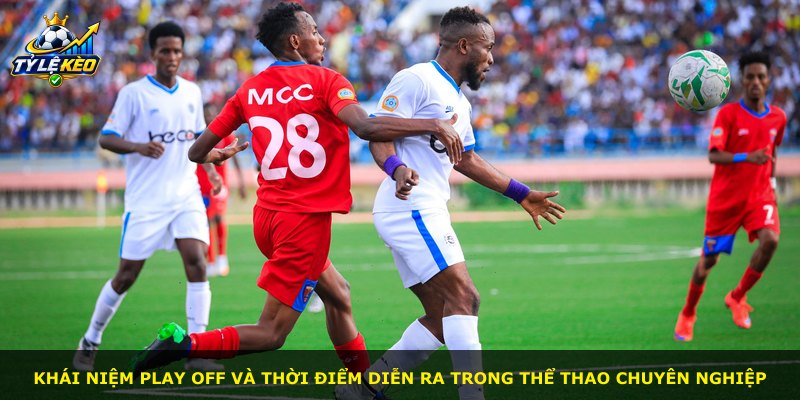 Khái niệm play off và thời điểm diễn ra trong thể thao chuyên nghiệp