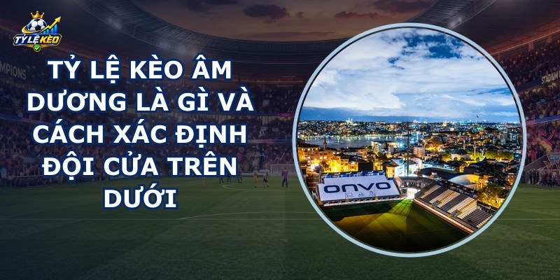 Tỷ Lệ Kèo Âm Dương Là Gì