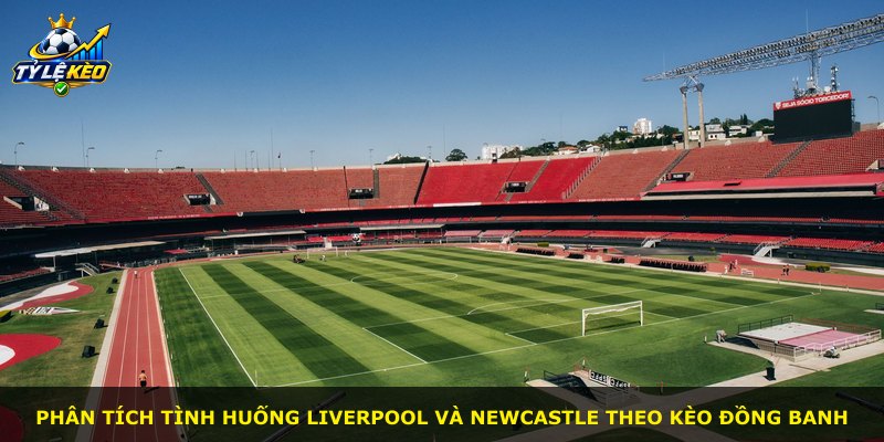 Phân tích tình huống Liverpool và Newcastle theo kèo Đồng Banh