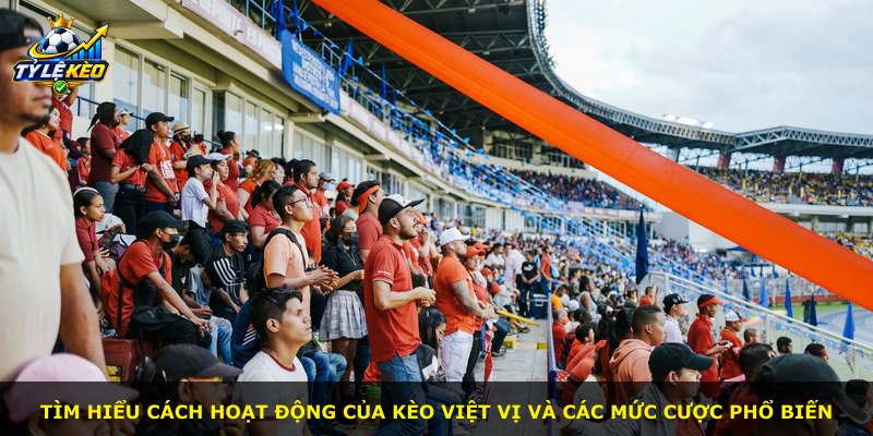 Tìm hiểu cách hoạt động của kèo việt vị và các mức cược phổ biến